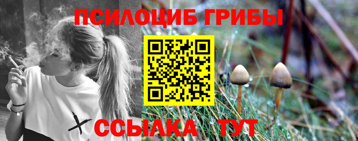Галлюциногенные грибы Cubensis Чусовой